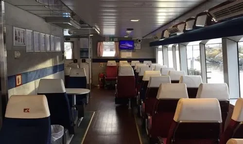 Rygerkatt - Maritime Tours AS bilde 10