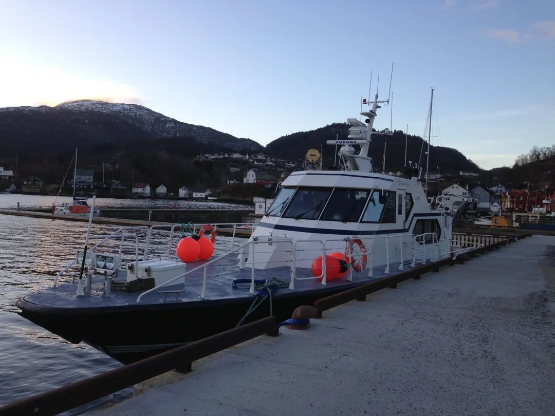 Tornerose - Maritime Tours AS image 7