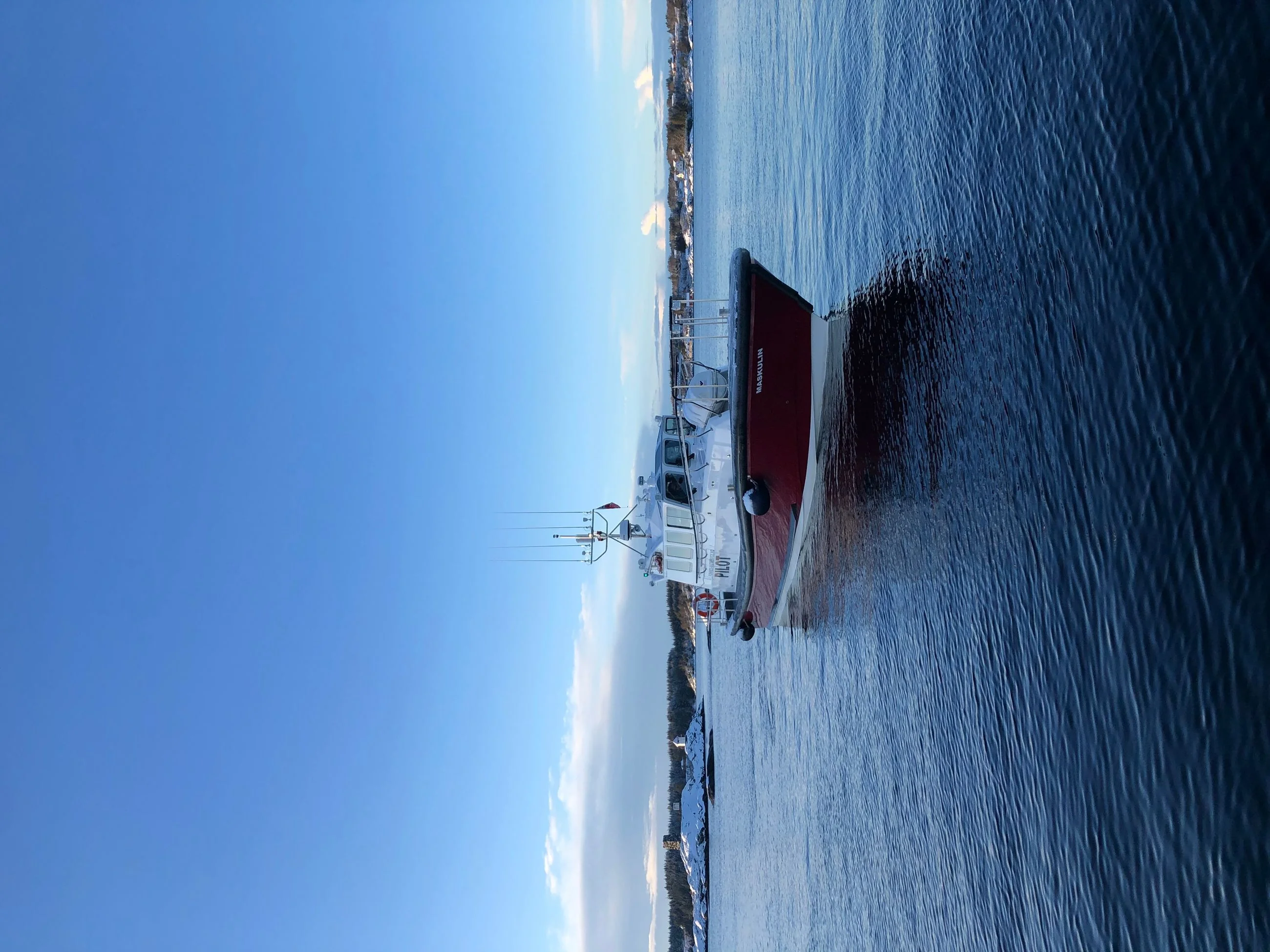Maskulin - Maritime Tours AS bilde 11