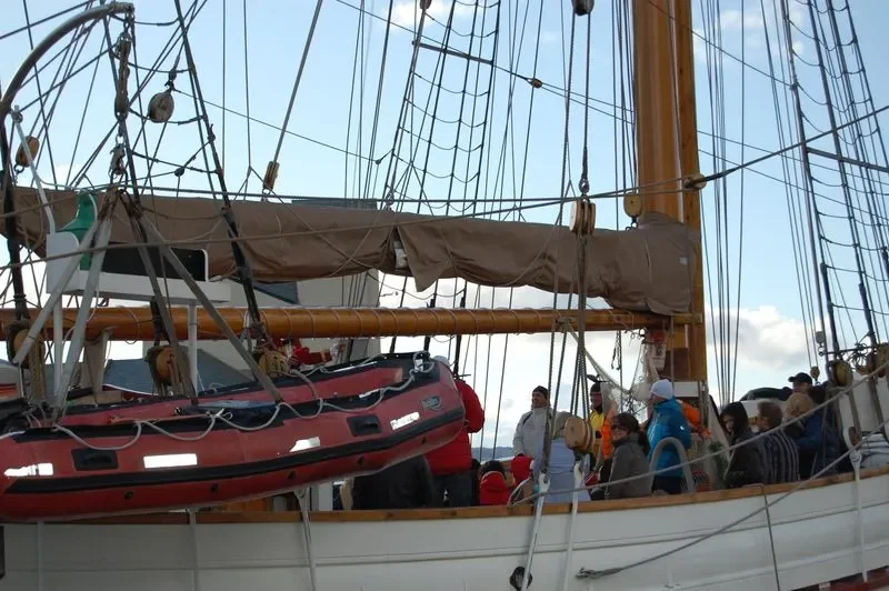 Loyal - Maritime Tours AS bilde 7