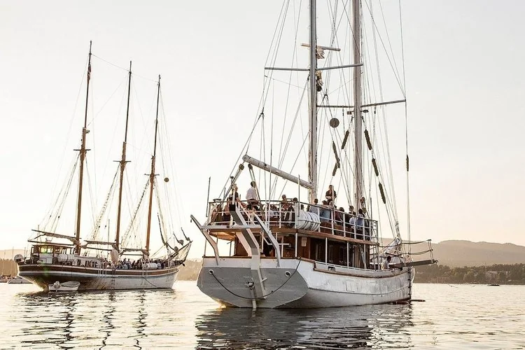 SS Vega - Maritime Tours AS bilde 1