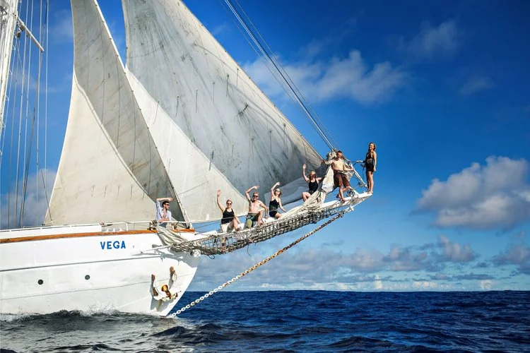 SS Vega - Maritime Tours AS bilde 4