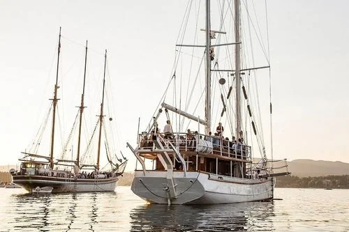 SS Vega - Maritime Tours AS bilde 6