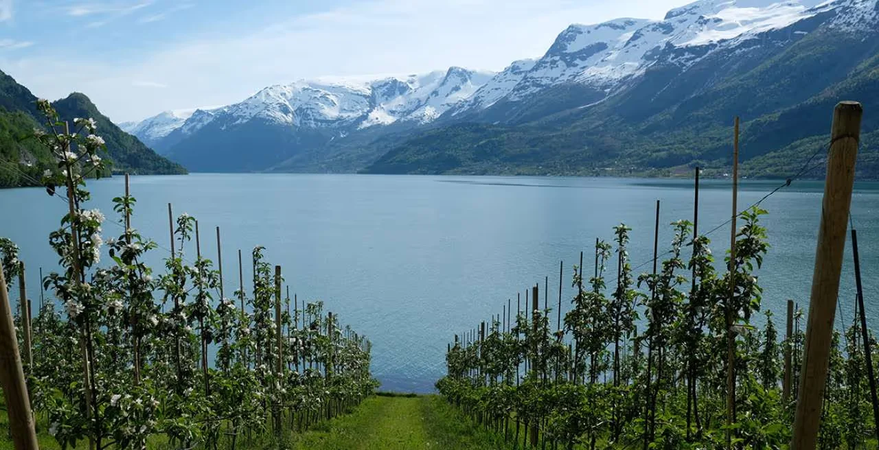 Hardanger