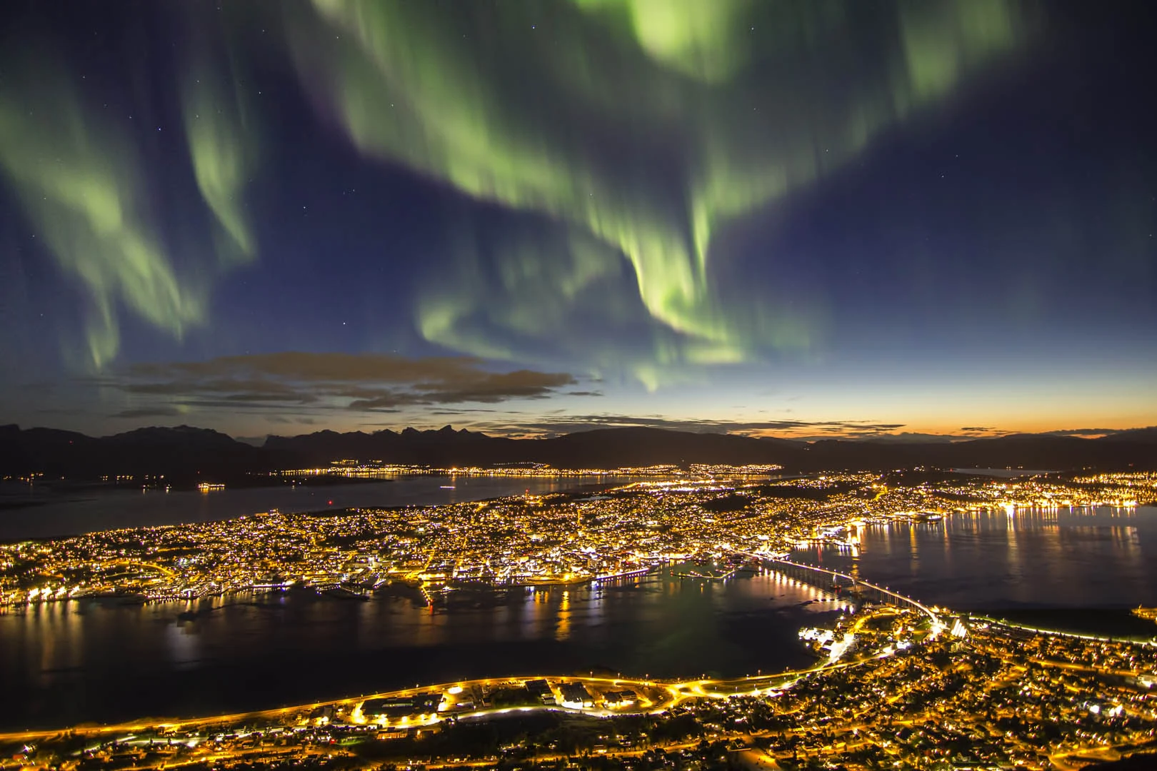 Arktisk fjordcruise fra Tromsø bilde 3