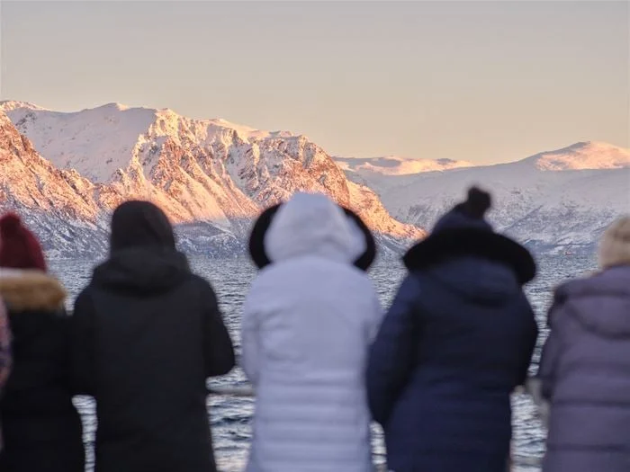 Arktisk fjordcruise fra Tromsø bilde 1